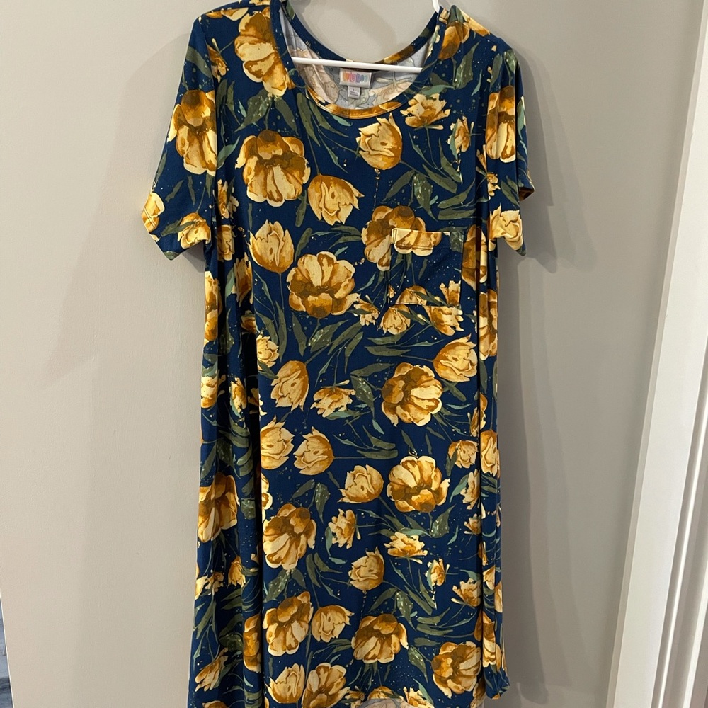 Lularoe Carly dress floral print